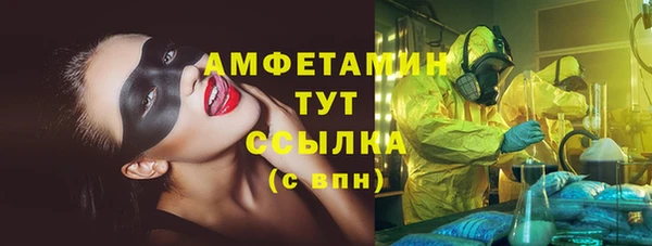 метадон Алексин