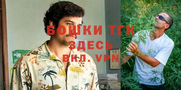стаф Алексеевка