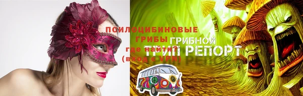 метадон Алексин