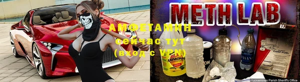 метадон Алексин
