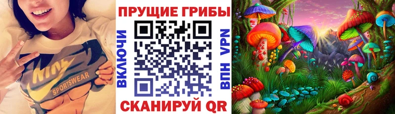 Псилоцибиновые грибы Psilocybe  MEGA   Болгар 